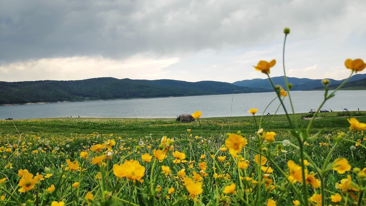 Photo of Outdoor in Vedzebi