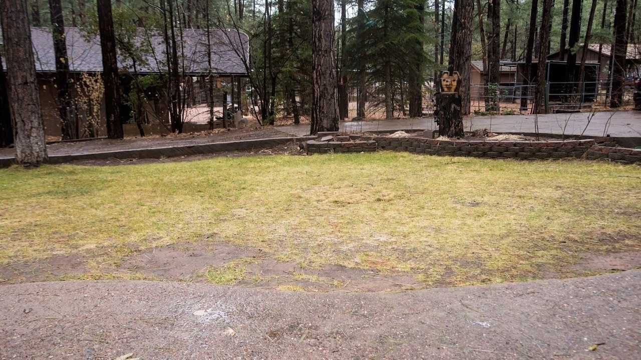 Photo of Outdoor in Strawberry