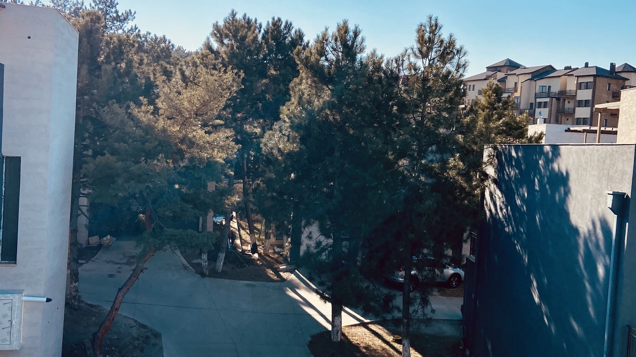 Photo of Others in Tsqneti