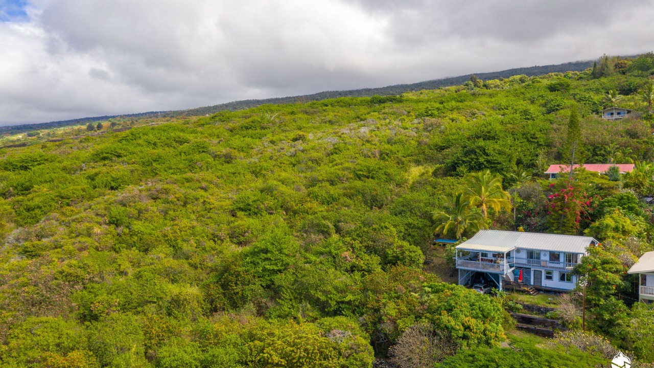 Photo of Outdoor in Kona Paradise