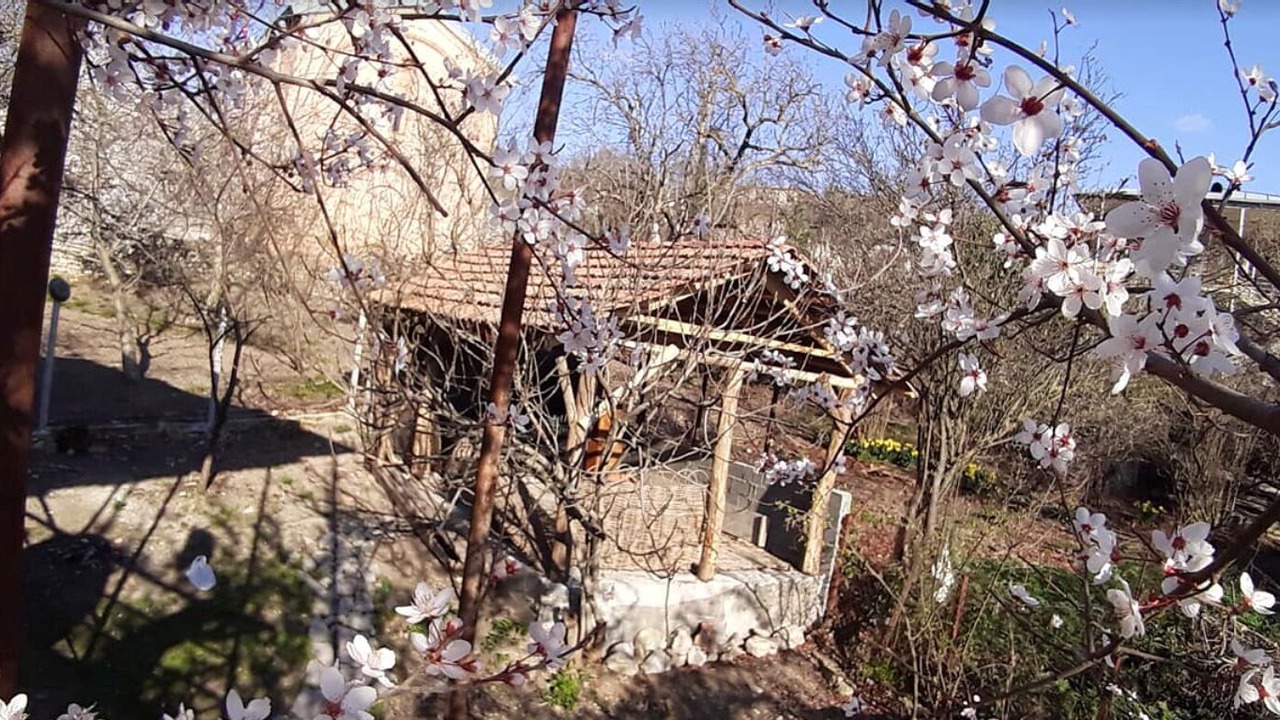 Photo of Outdoor in Gurjaani