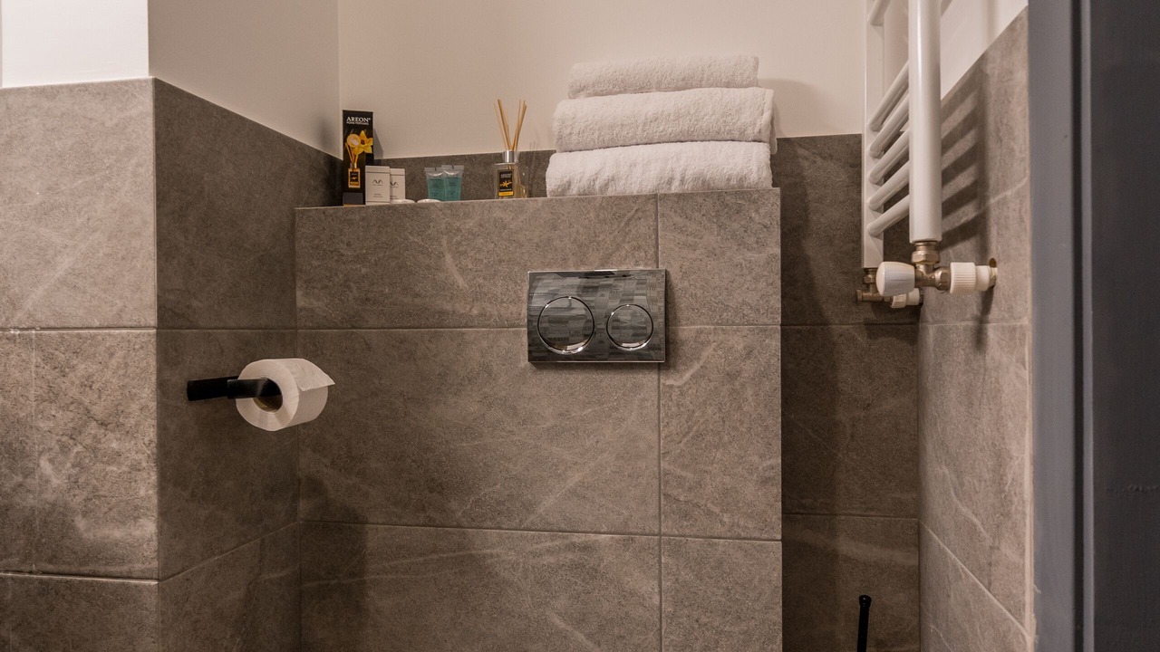Photo of Bathroom in Kazbegi