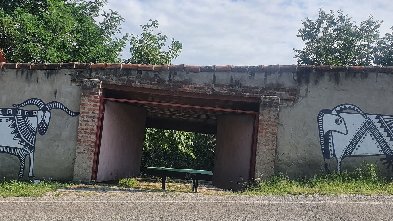 Photo of Outdoor in Sighnaghi