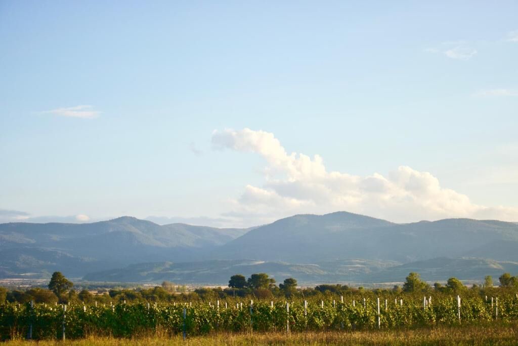 Photo of Outdoor in Kvemo Alvani