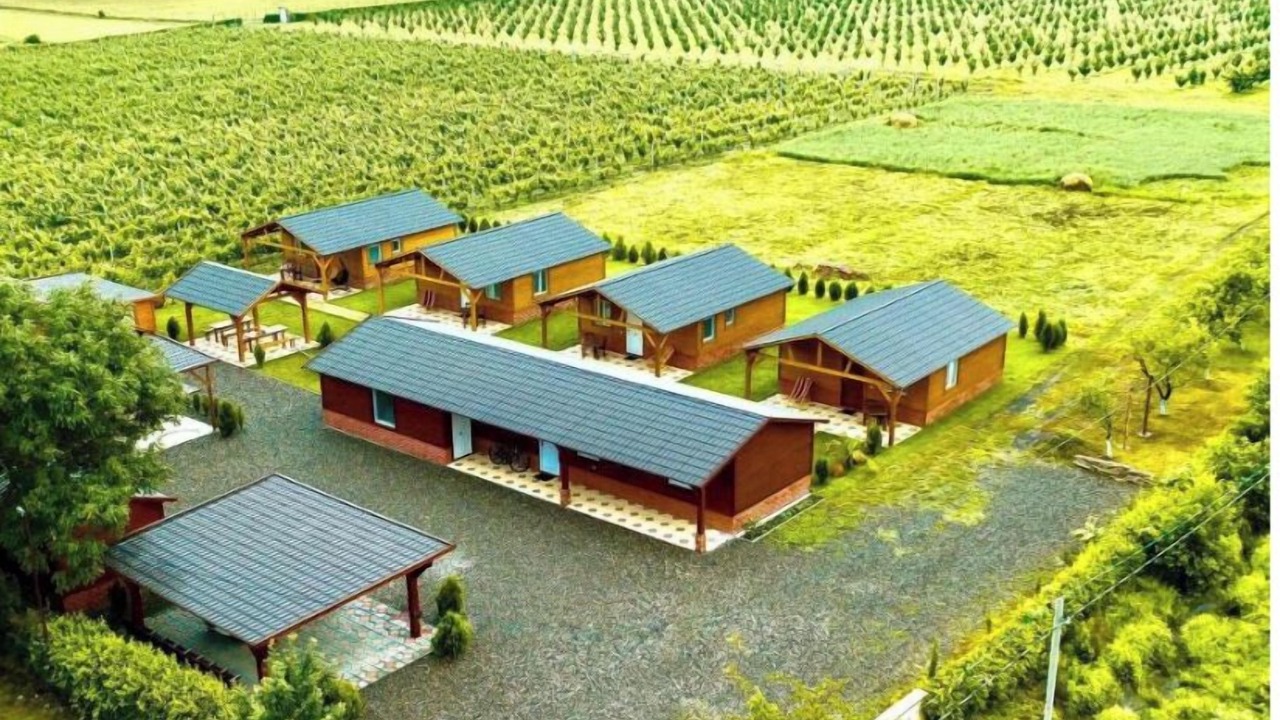 Photo of Outdoor in Kvemo Alvani