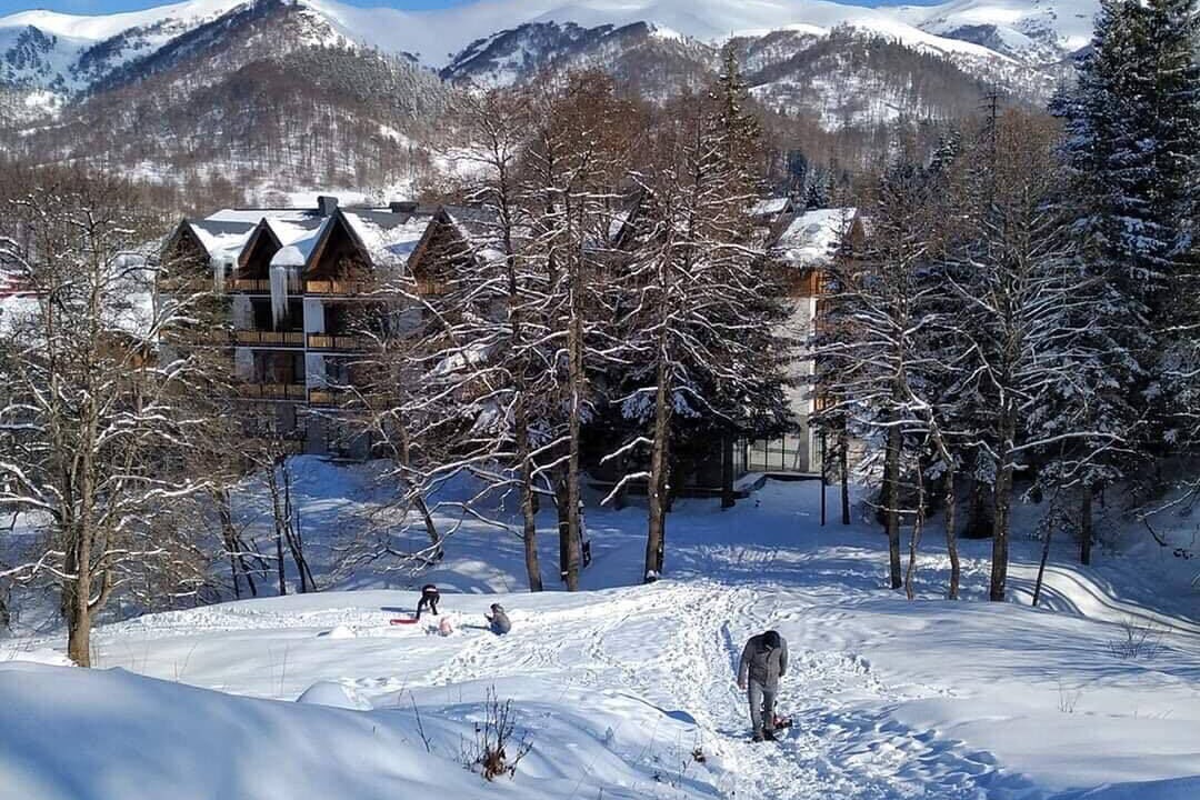 Photo of Outdoor in Bakuriani