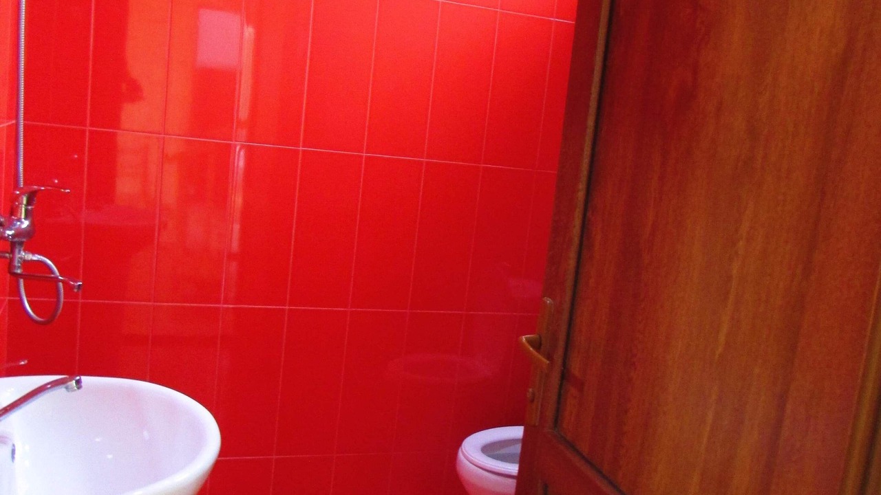 Photo of Bathroom in Martivili