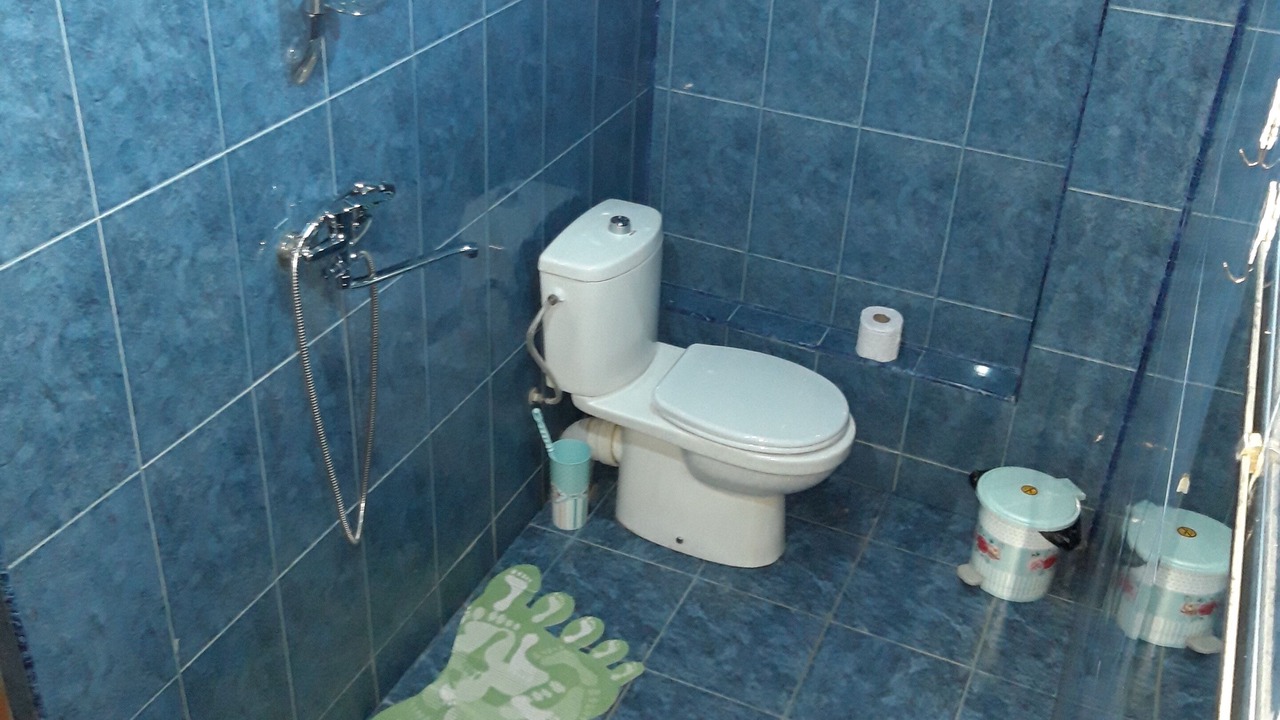 Photo of Bathroom in Kutaisi
