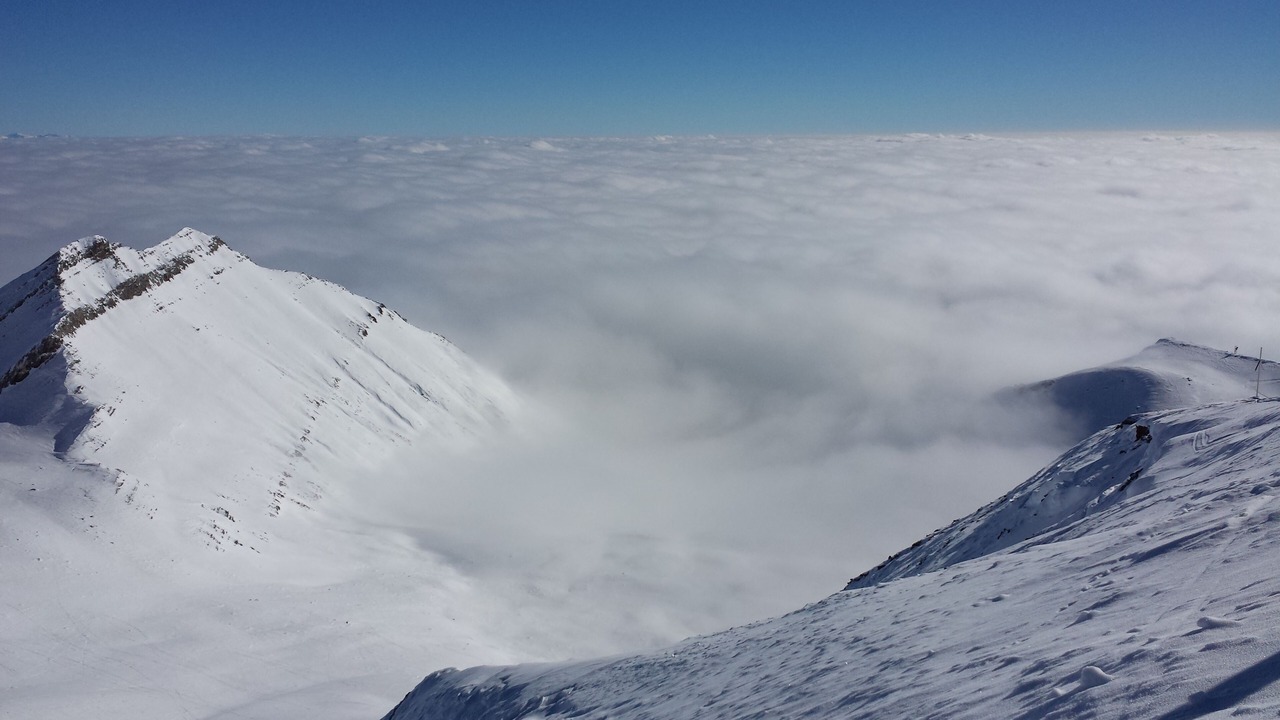 Photo of Others in Kazbegi