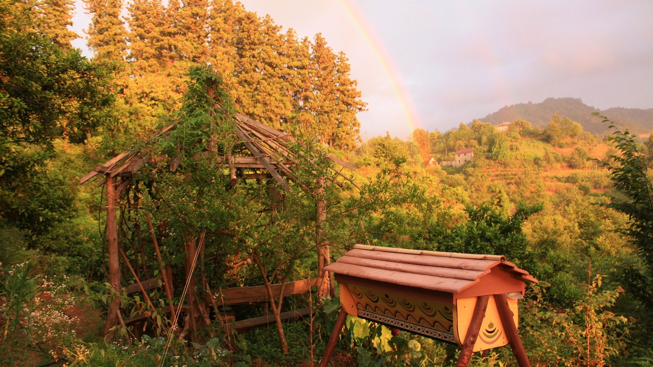 Photo of Outdoor in Chaisubani
