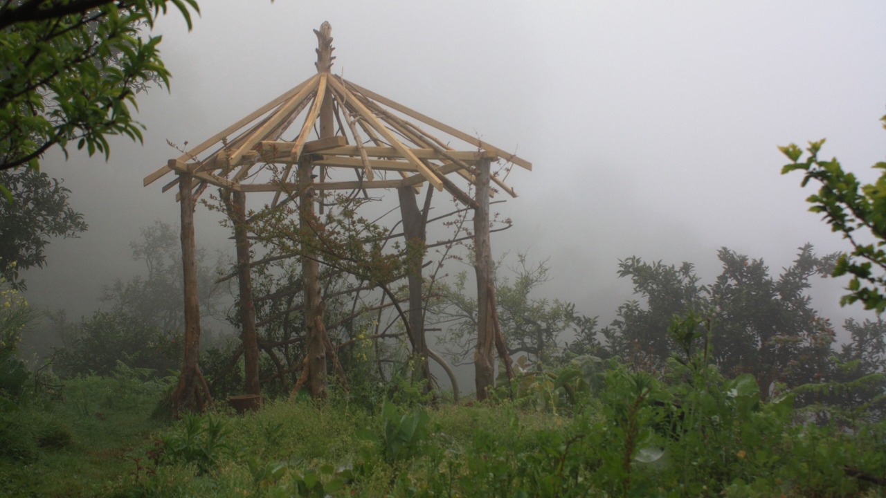 Photo of Outdoor in Chaisubani