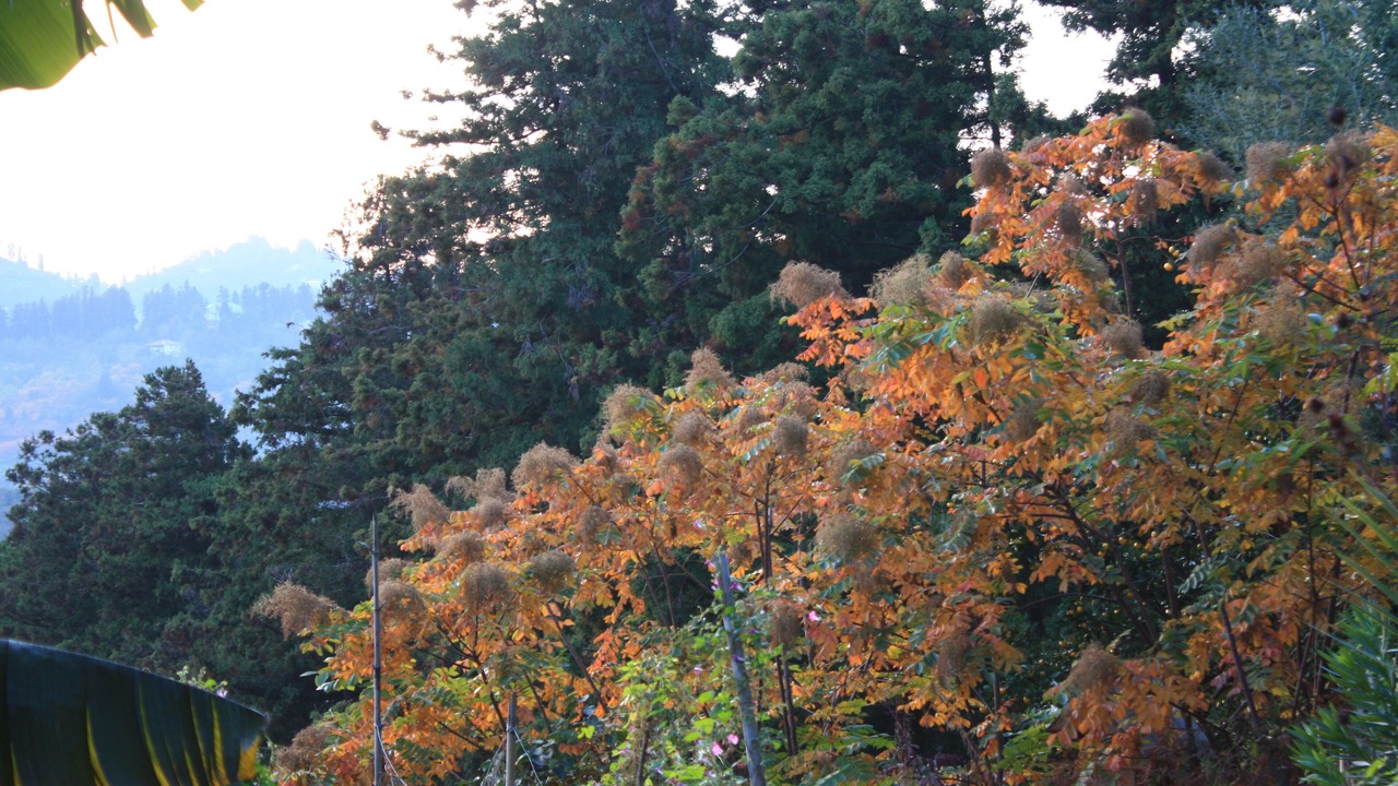 Photo of Outdoor in Chaisubani