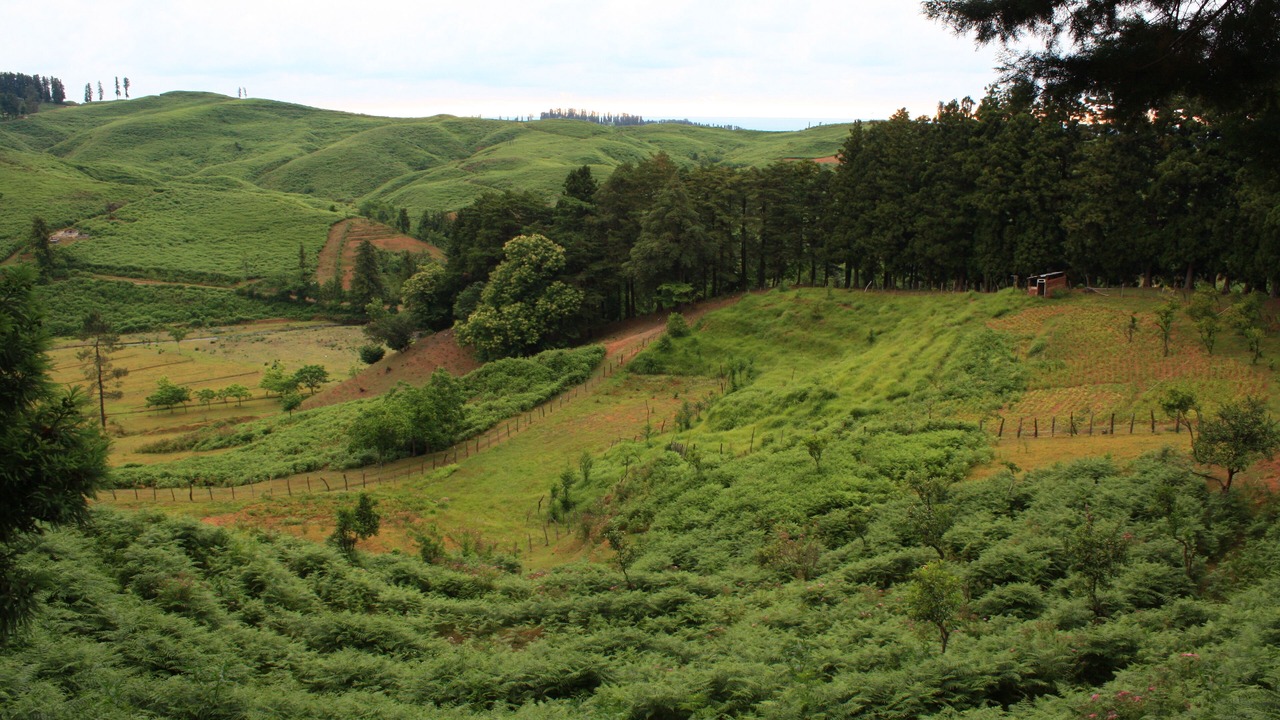 Photo of Outdoor in Chaisubani