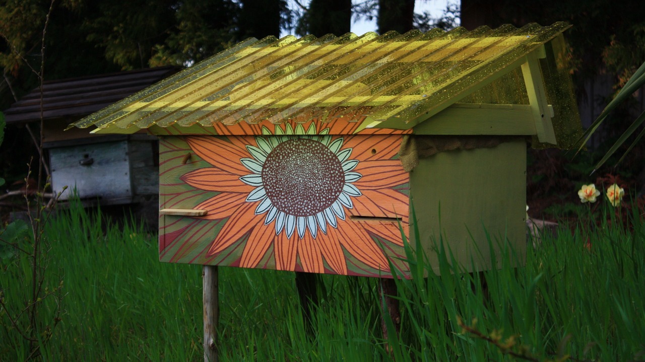 Photo of Outdoor in Chaisubani