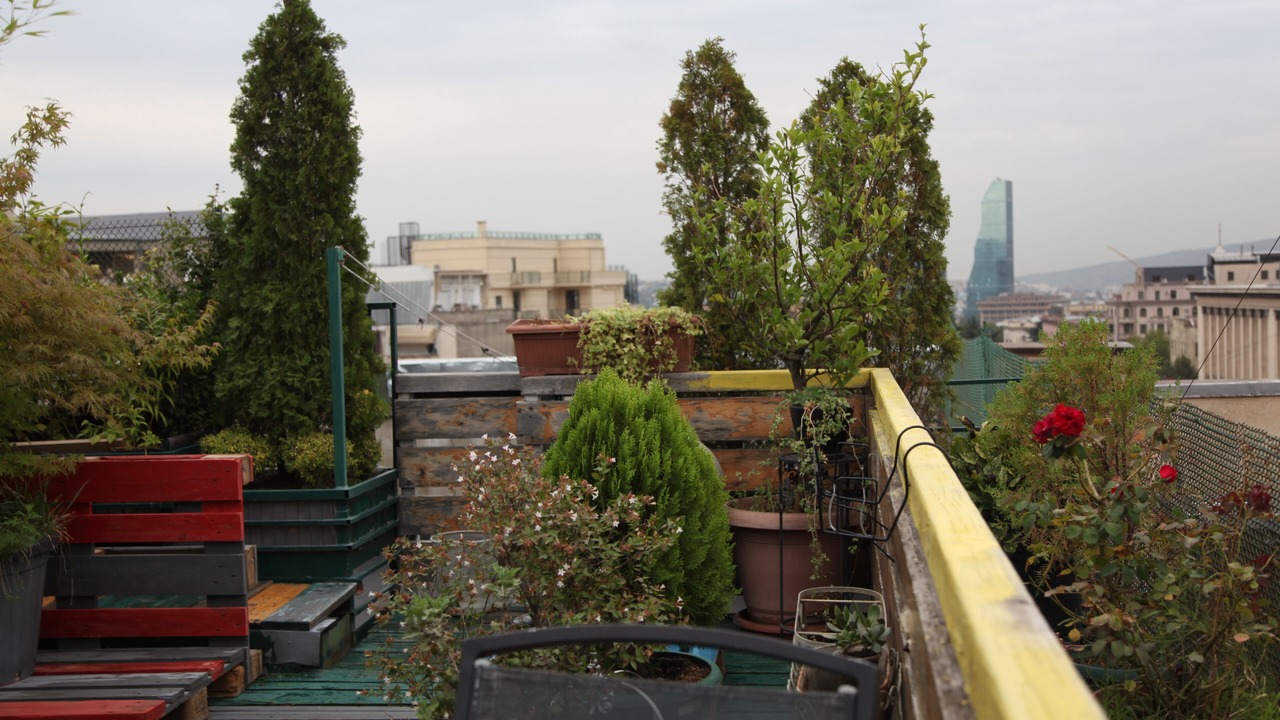 Photo of Outdoor in Vera