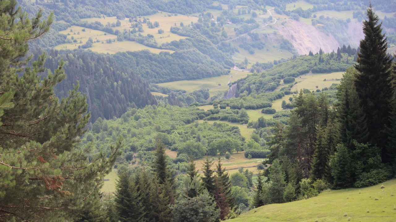 Photo of Outdoor in Bagvdanari