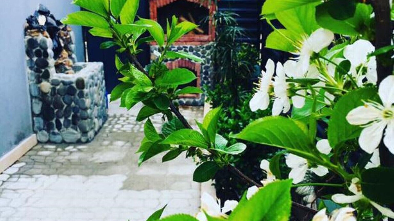 Photo of Outdoor in Tbilisi
