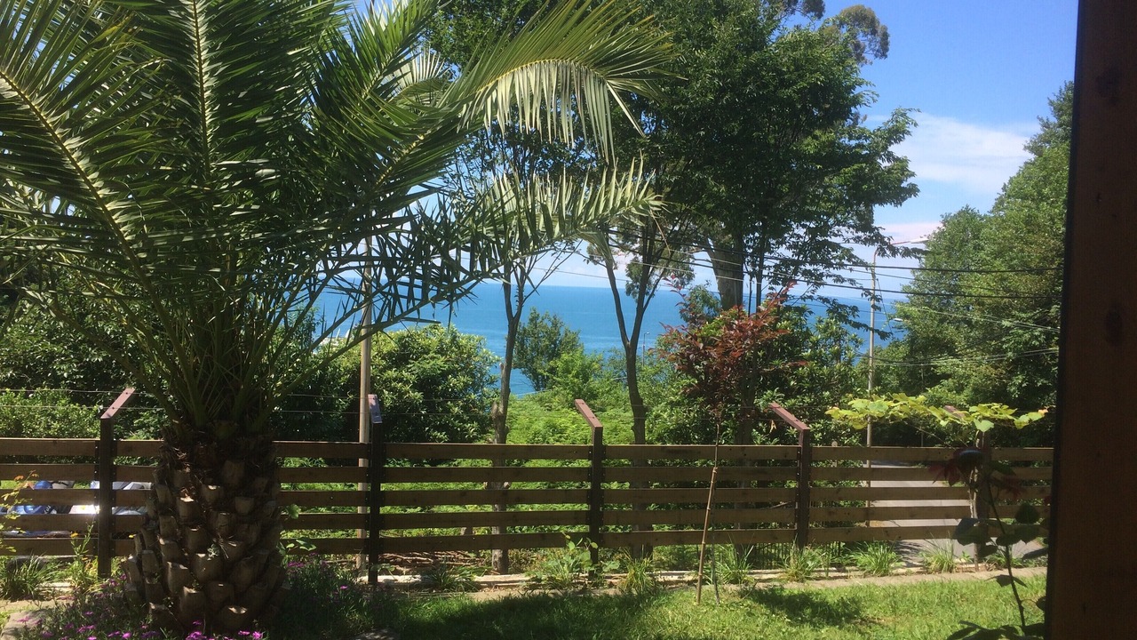 Photo of Outdoor in Kvariati