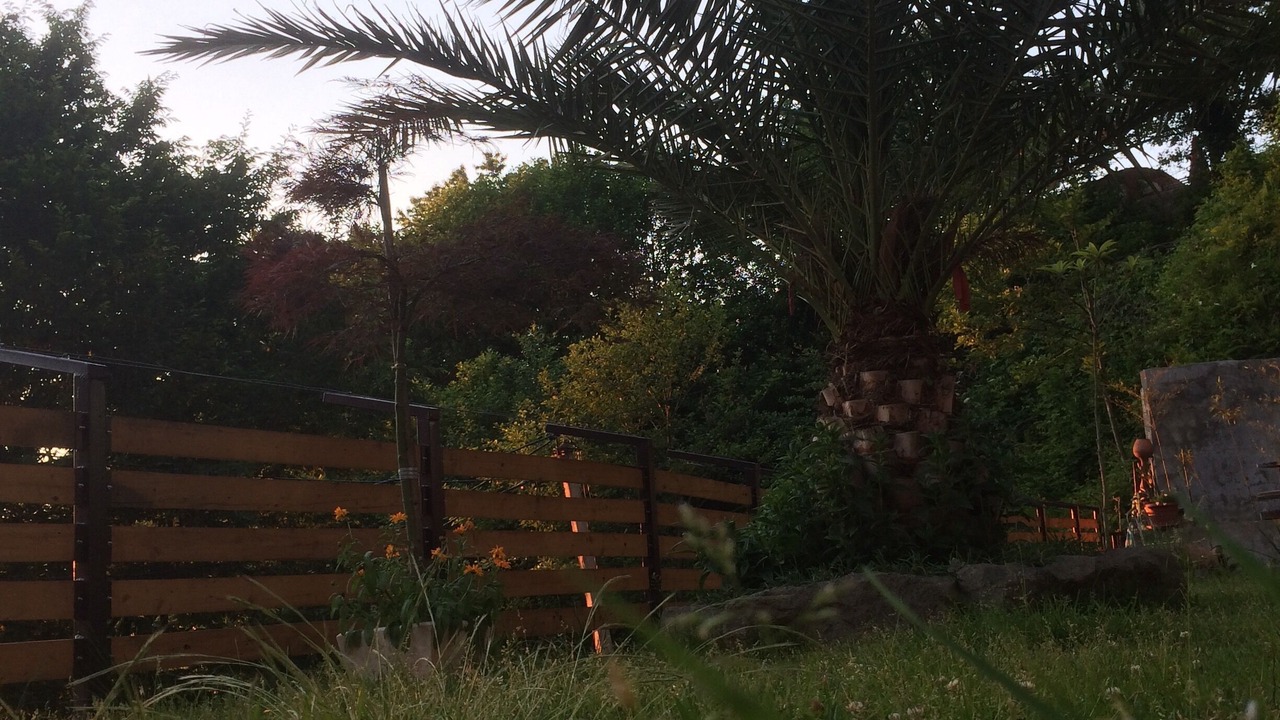 Photo of Outdoor in Kvariati