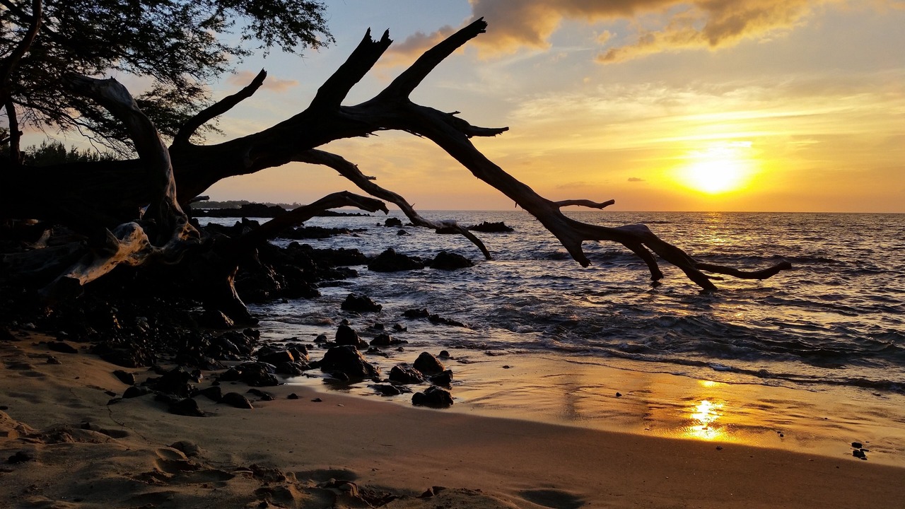 Photo of Others in Keaau