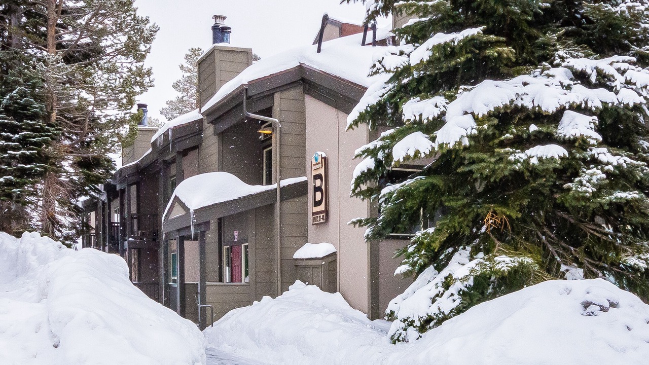 Photo of Others in Mammoth Lakes