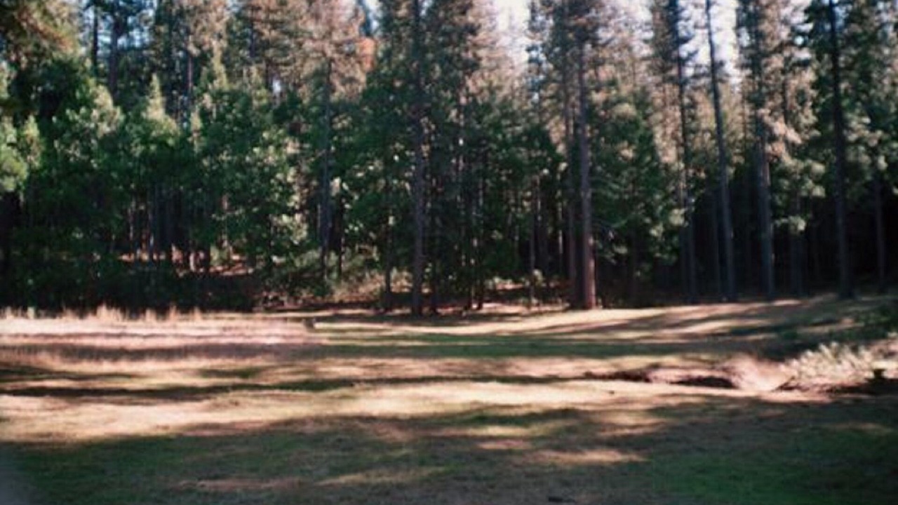 Photo of Outdoor in Groveland