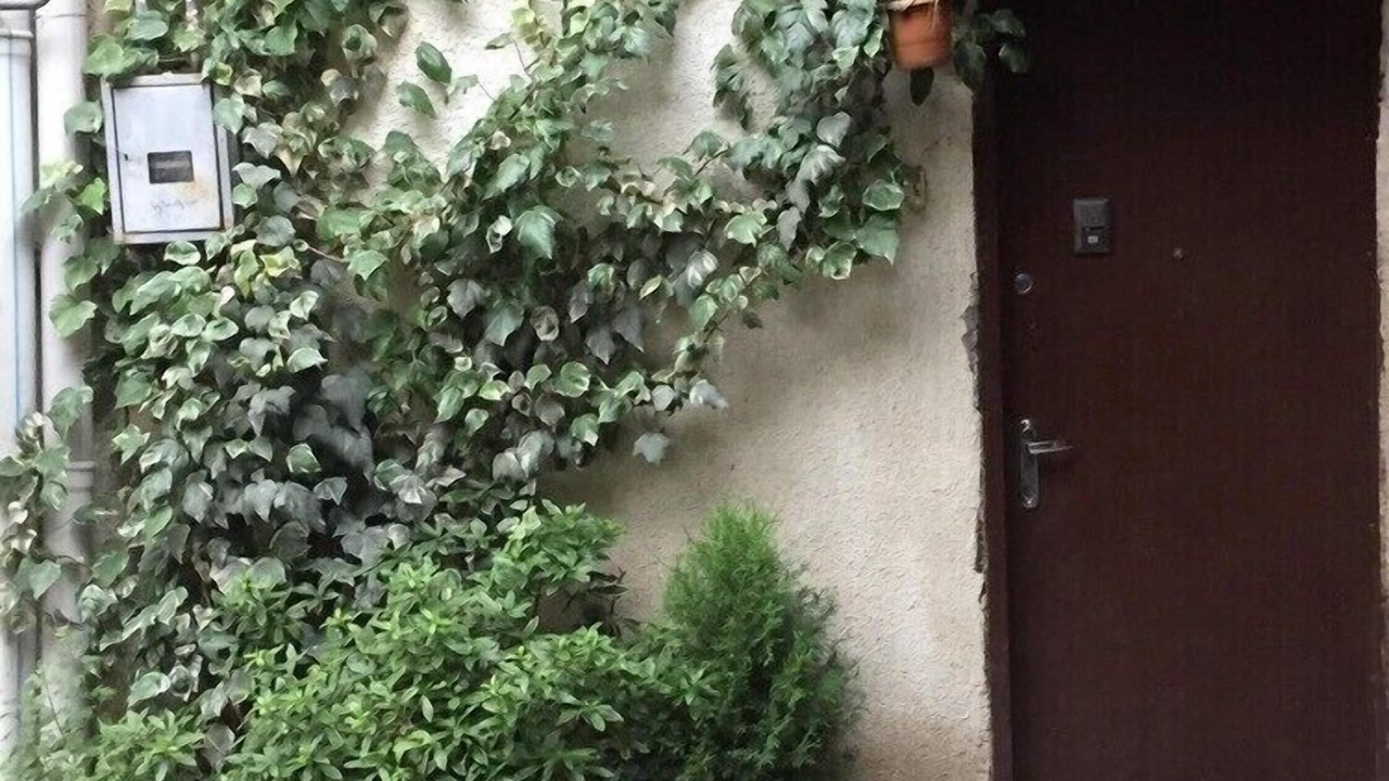 Photo of Outdoor in Chugureti