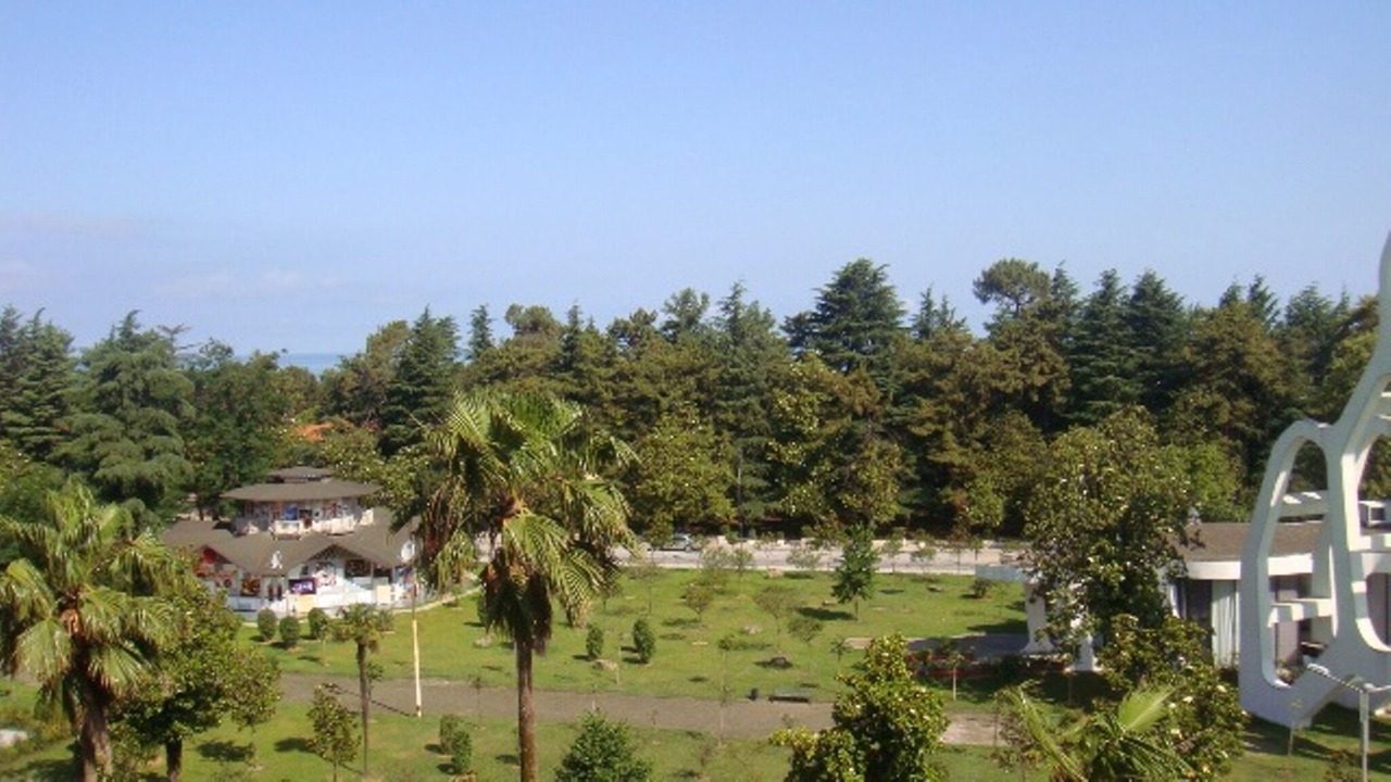 Photo of Outdoor in Old Boulevard