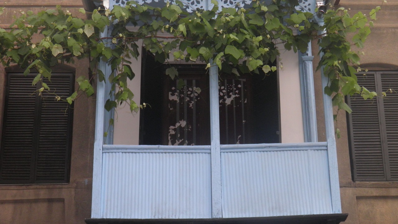 Photo of Outdoor in Tbilisi