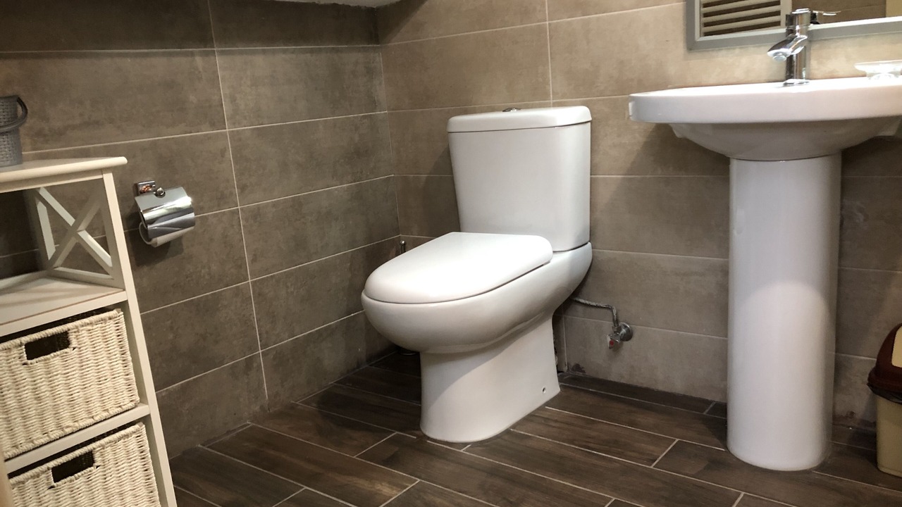 Photo of Bathroom in Kazbegi
