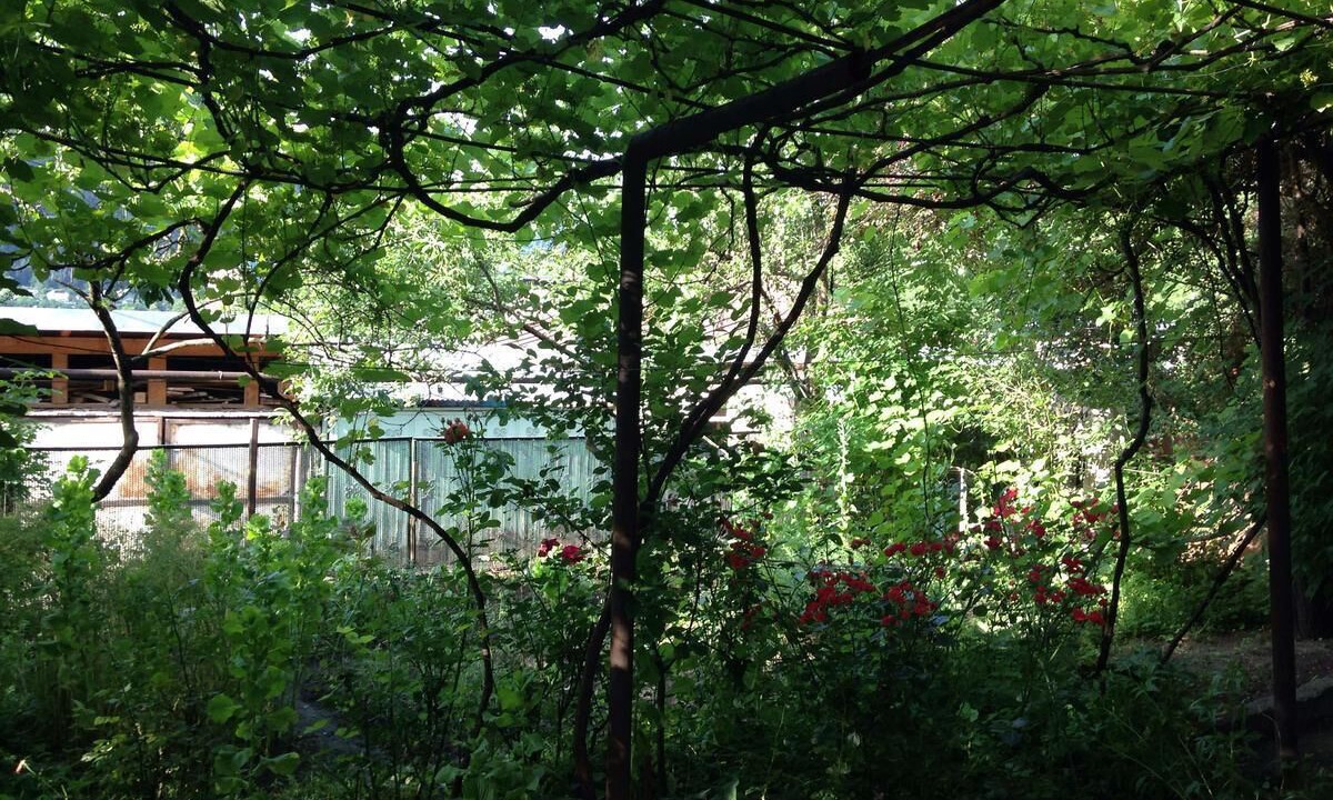 Photo of Outdoor in Borjomi