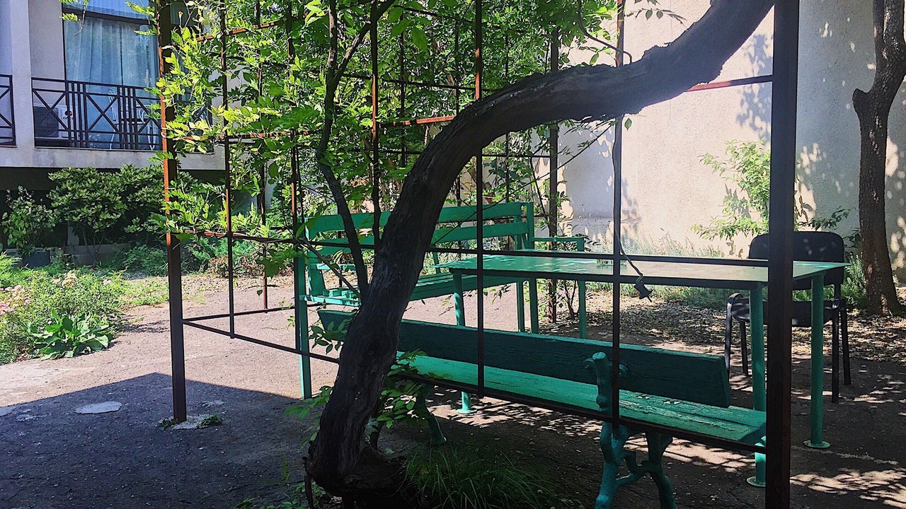 Photo of Outdoor in Avlabari