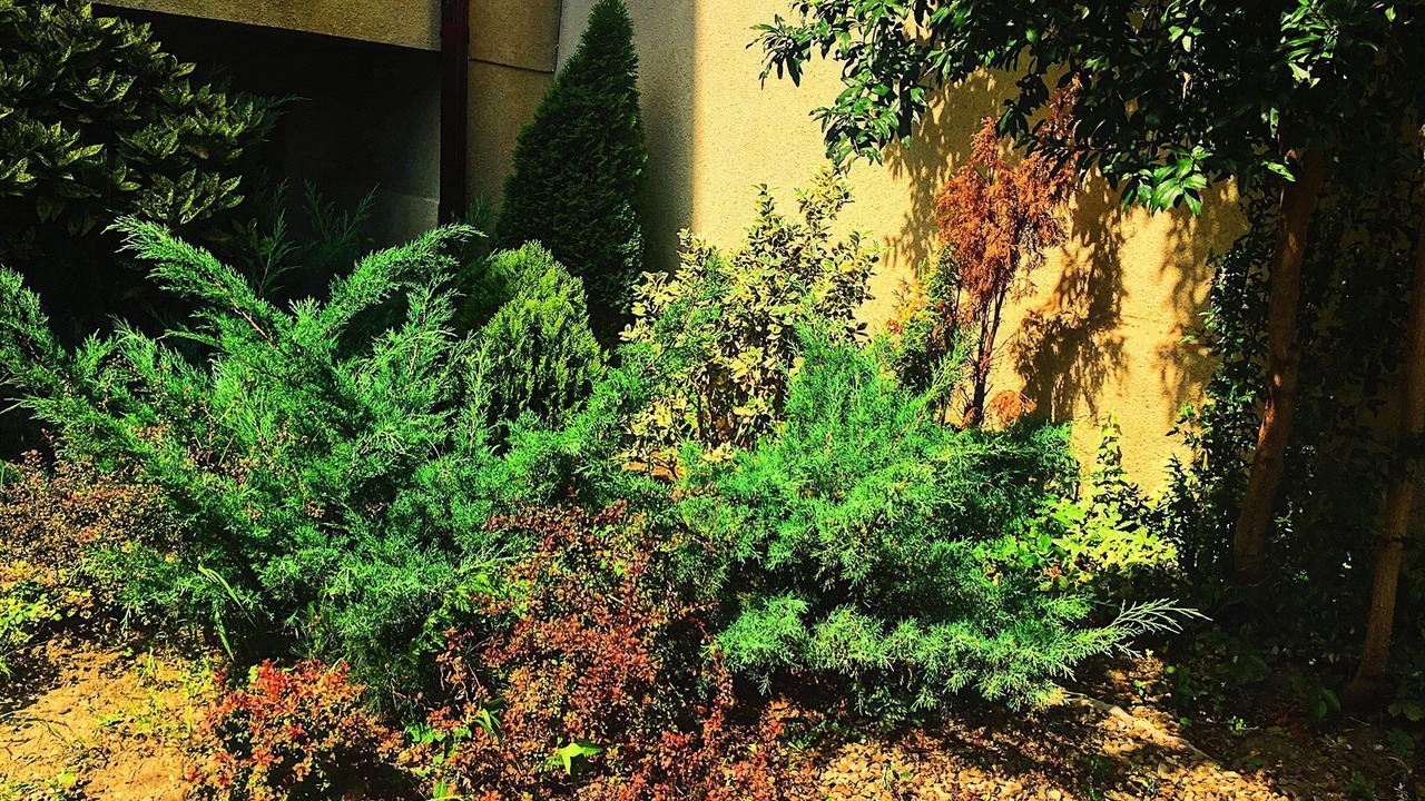 Photo of Outdoor in Avlabari