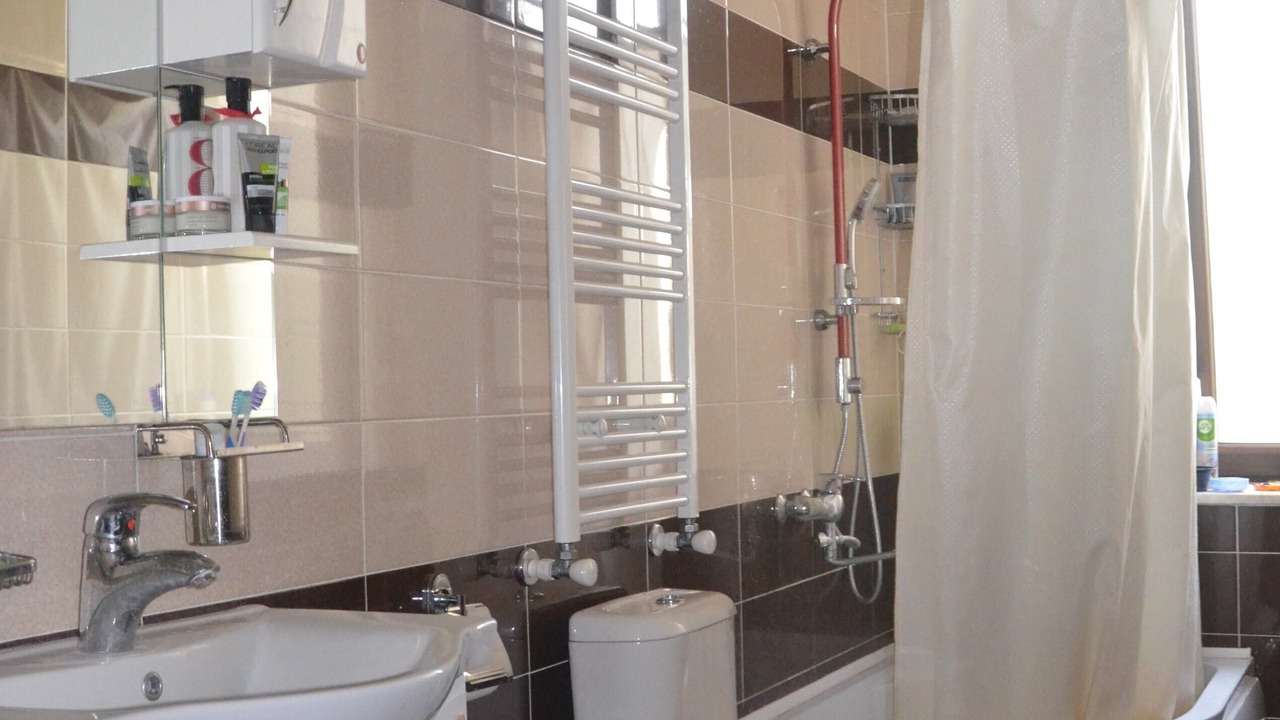 Photo of Bathroom in Telavi