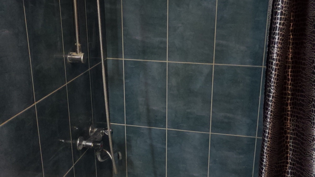 Photo of Bathroom in Telavi