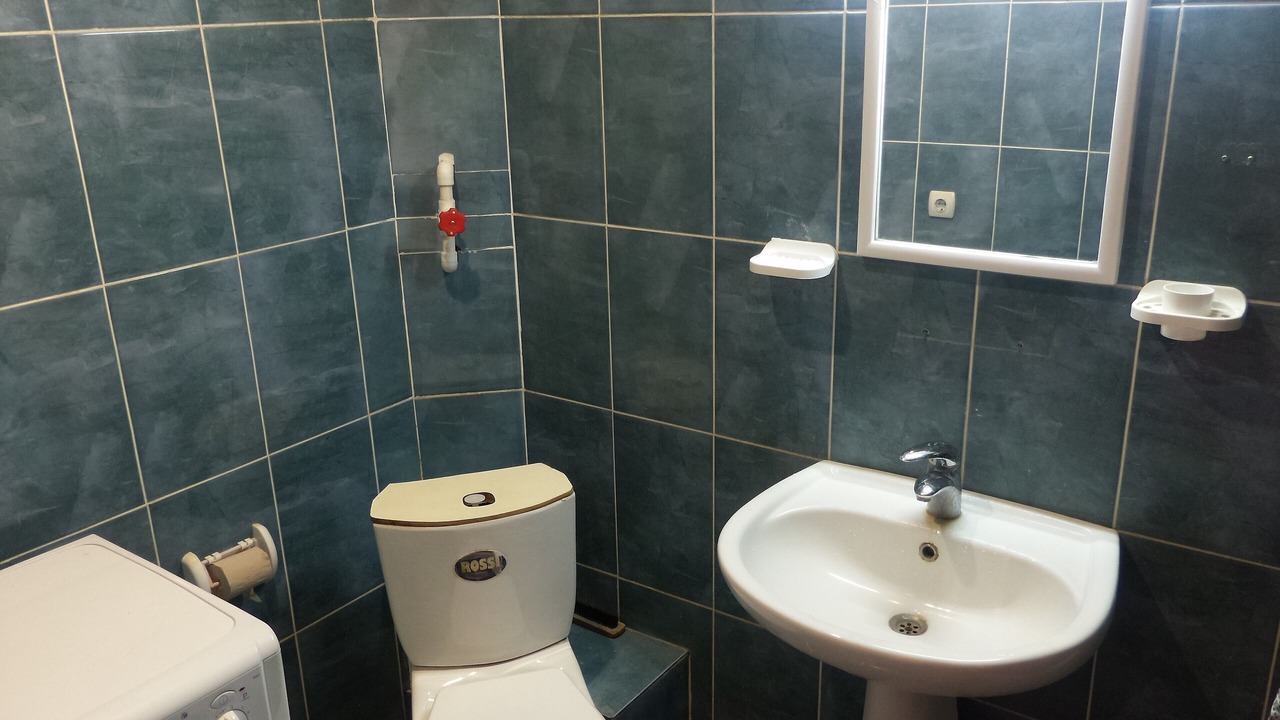 Photo of Bathroom in Telavi
