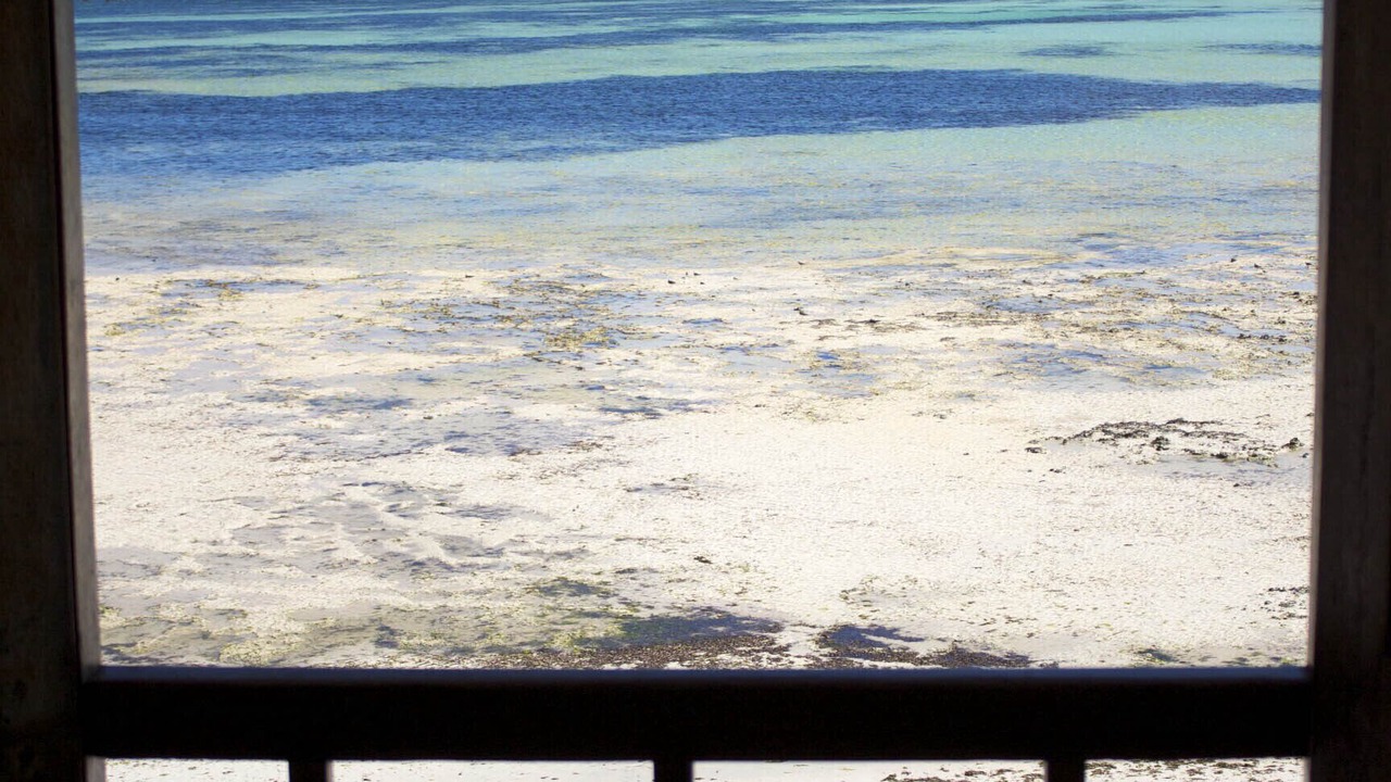 Photo of Others in Malindi Marine National Park