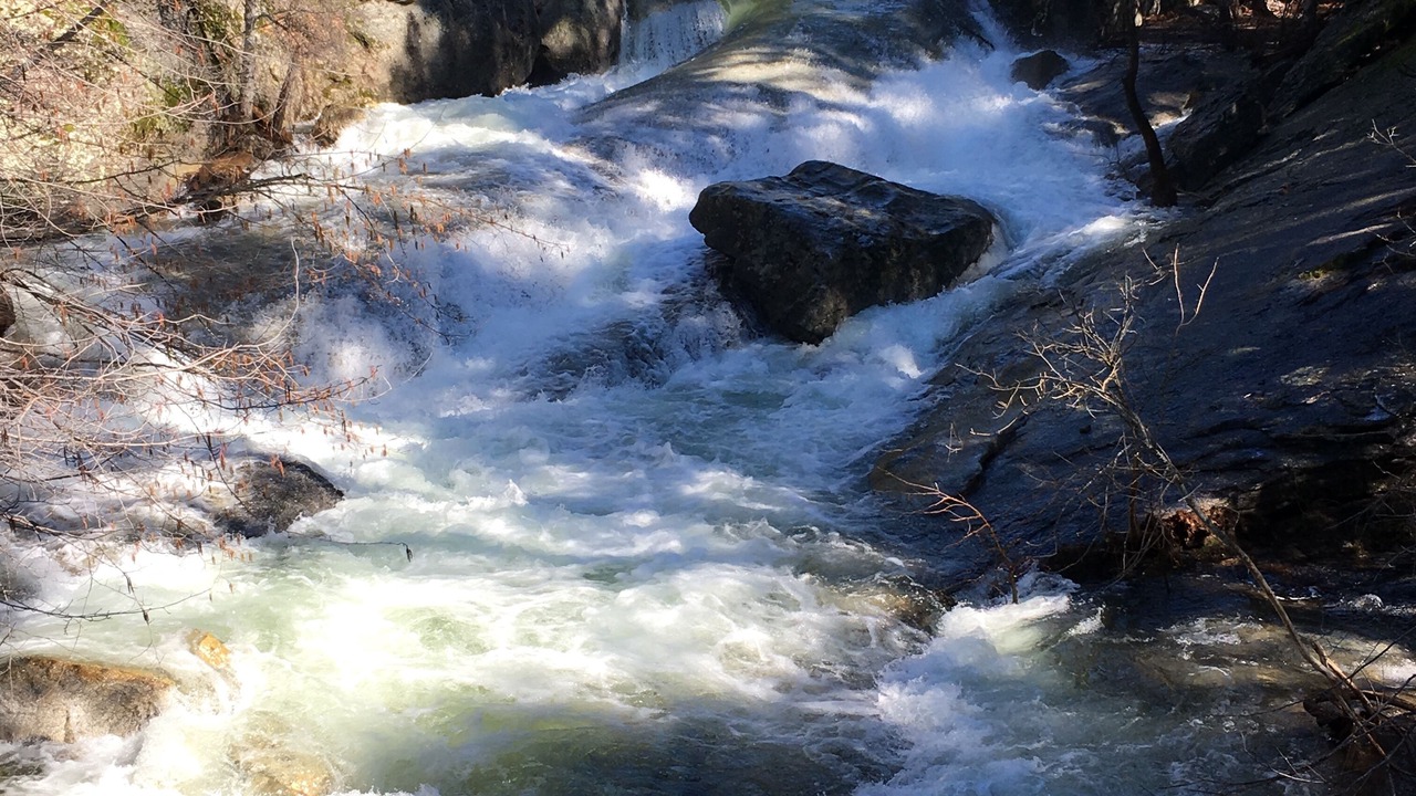 Photo of Outdoor in Bass Lake