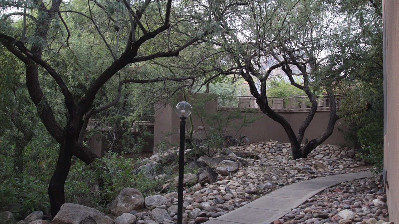 Photo of Others in Tucson