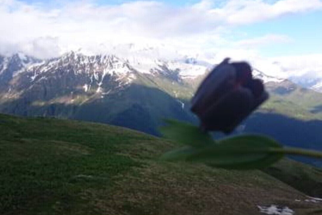 Photo of Others in Bagvdanari