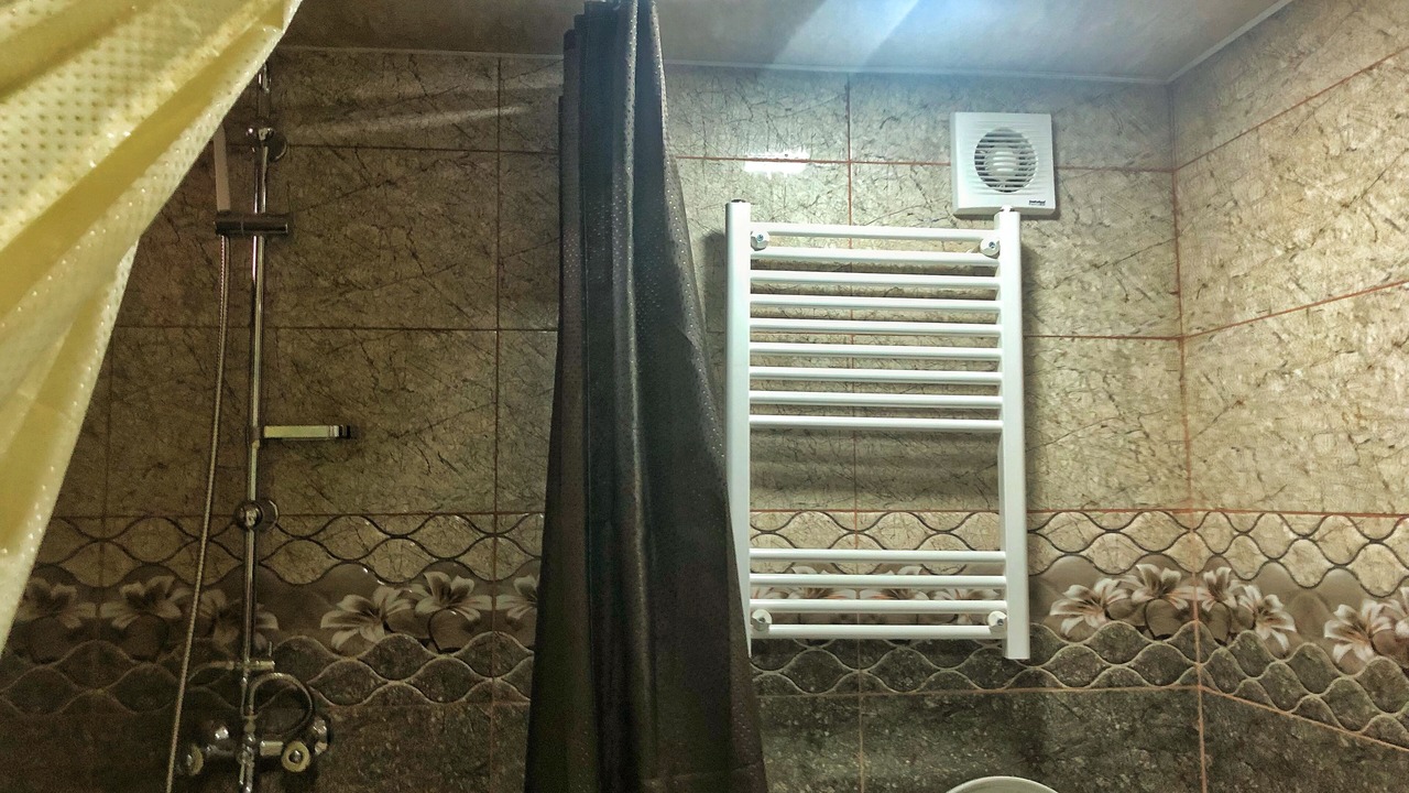 Photo of Bathroom in Borjomi