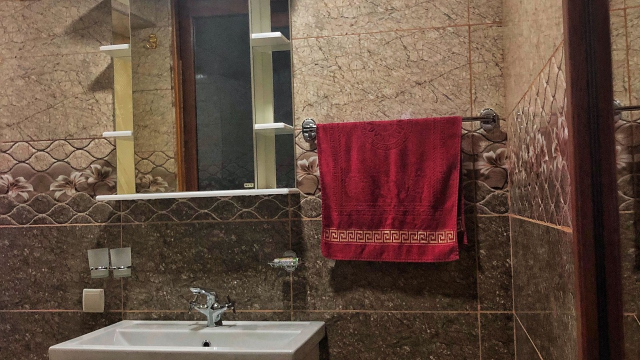 Photo of Bathroom in Borjomi