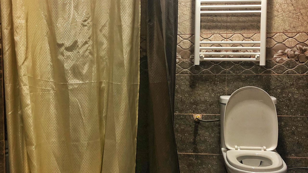 Photo of Bathroom in Borjomi
