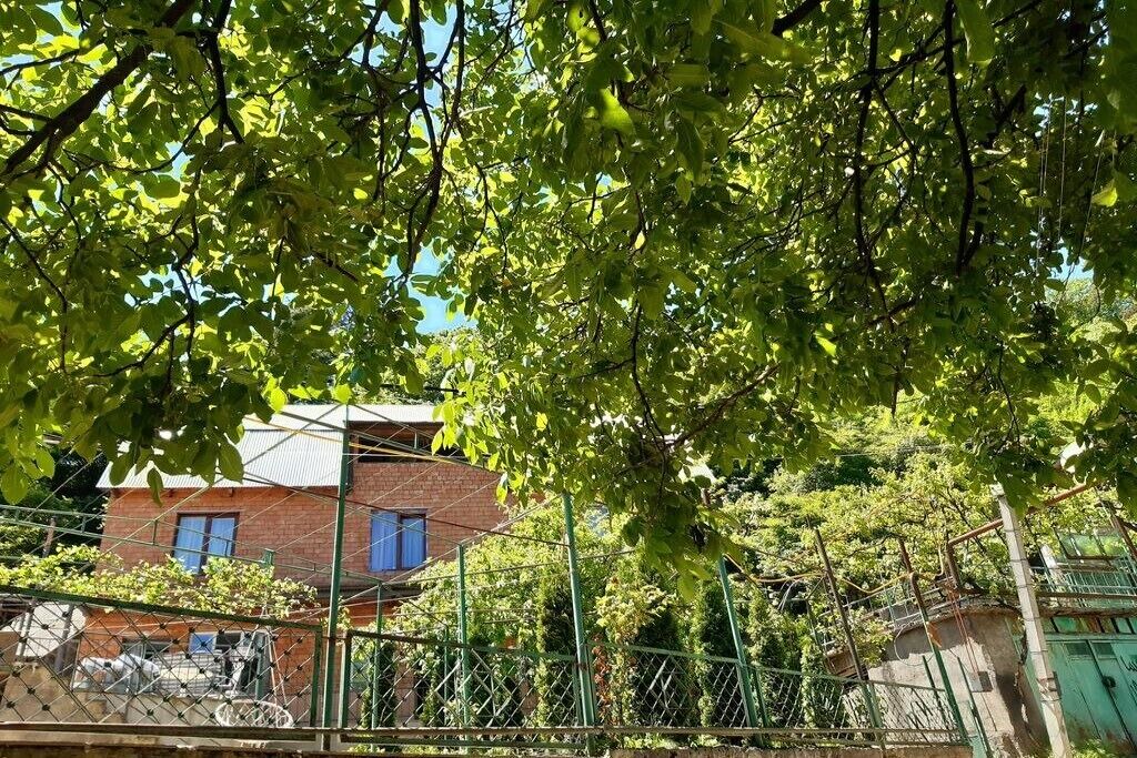 Photo of Outdoor in Borjomi