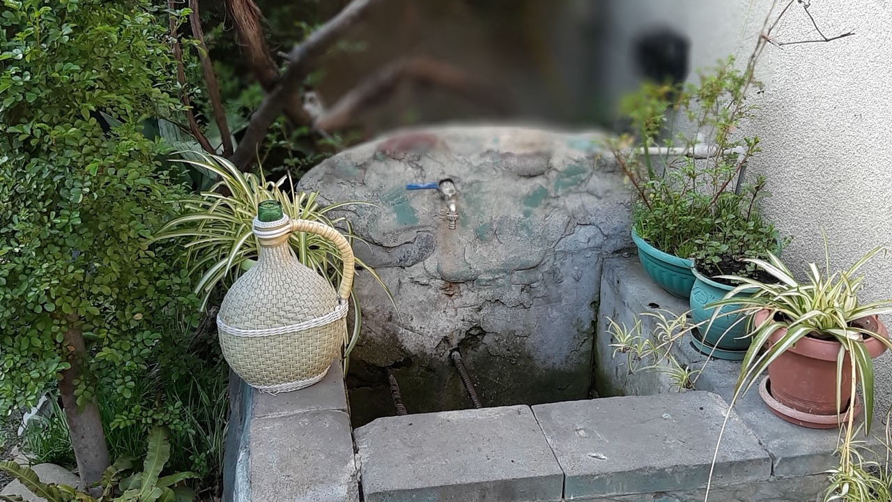 Photo of Outdoor in Didube