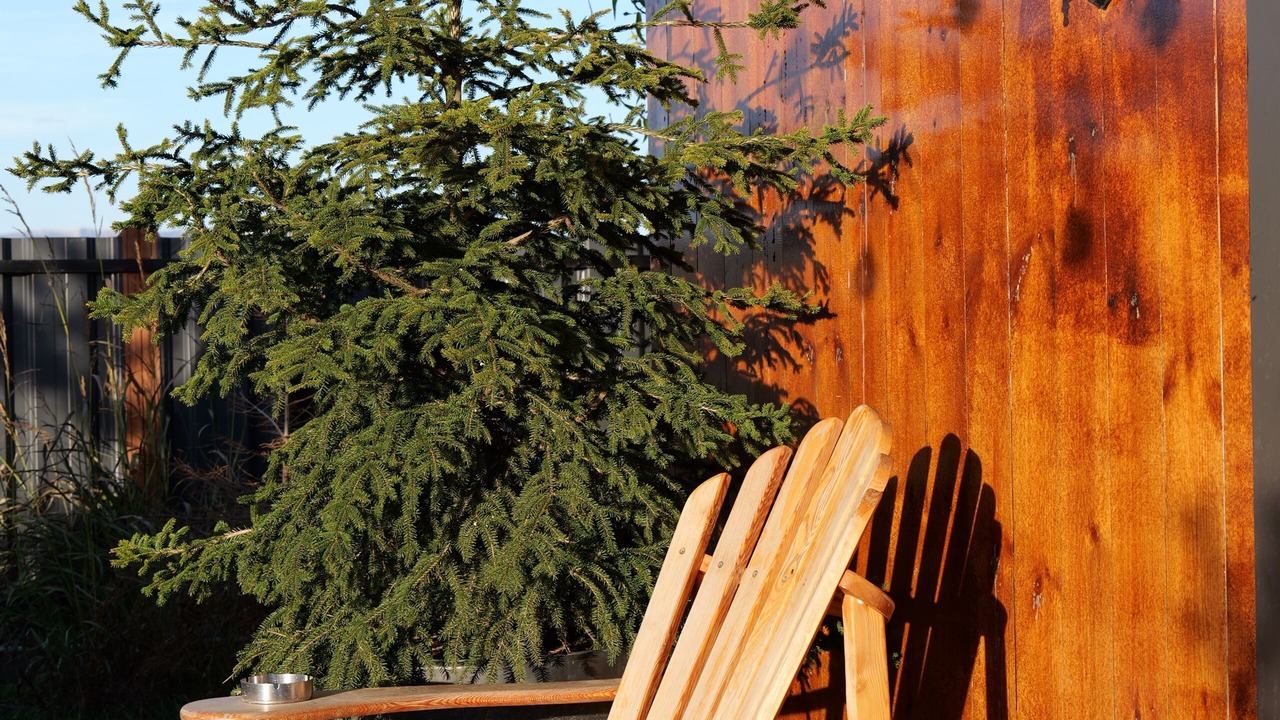 Photo of Patio Balcony in Kvemo Kartli