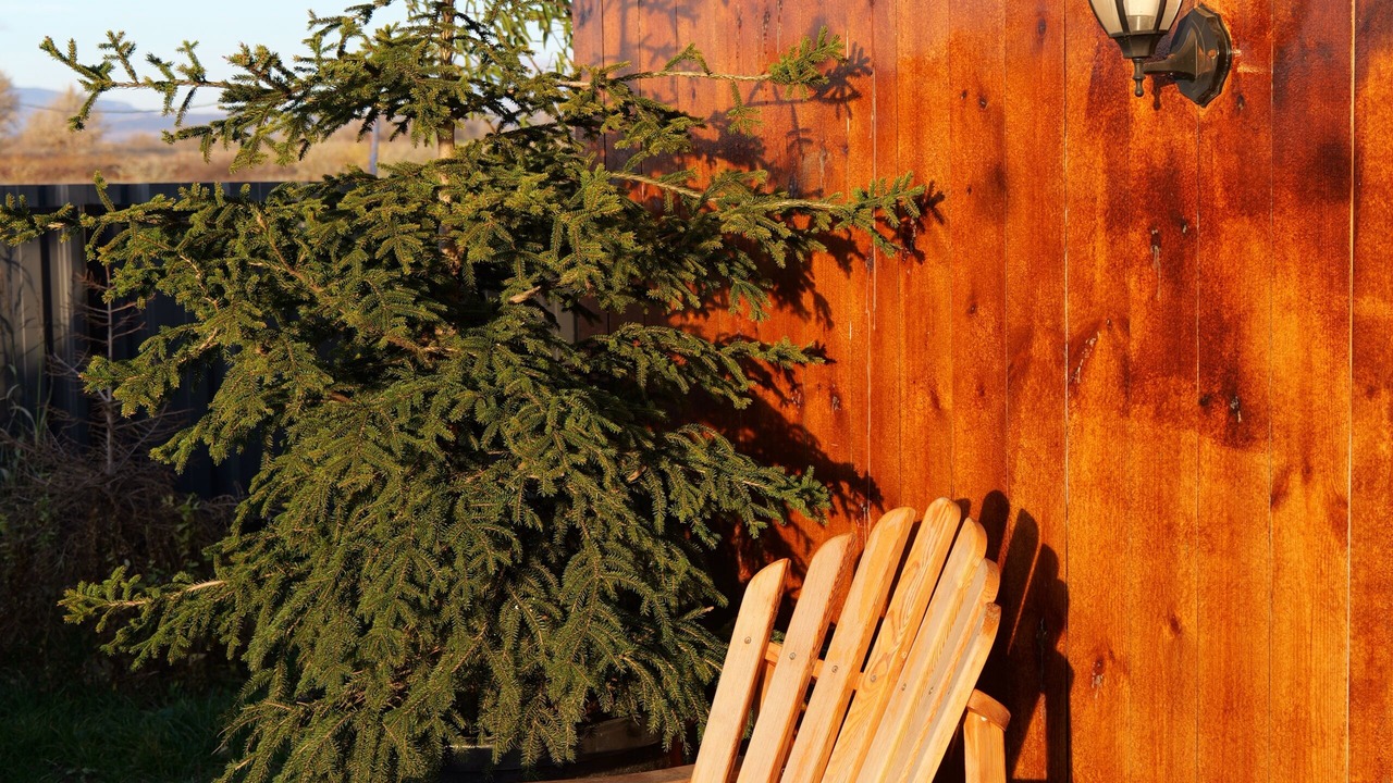Photo of Patio Balcony in Kvemo Kartli