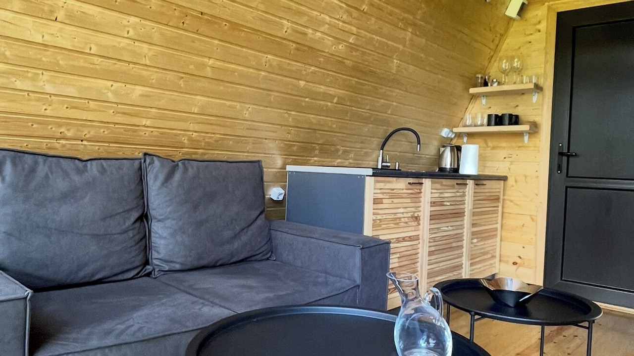Photo of Livingroom in Bagvdanari