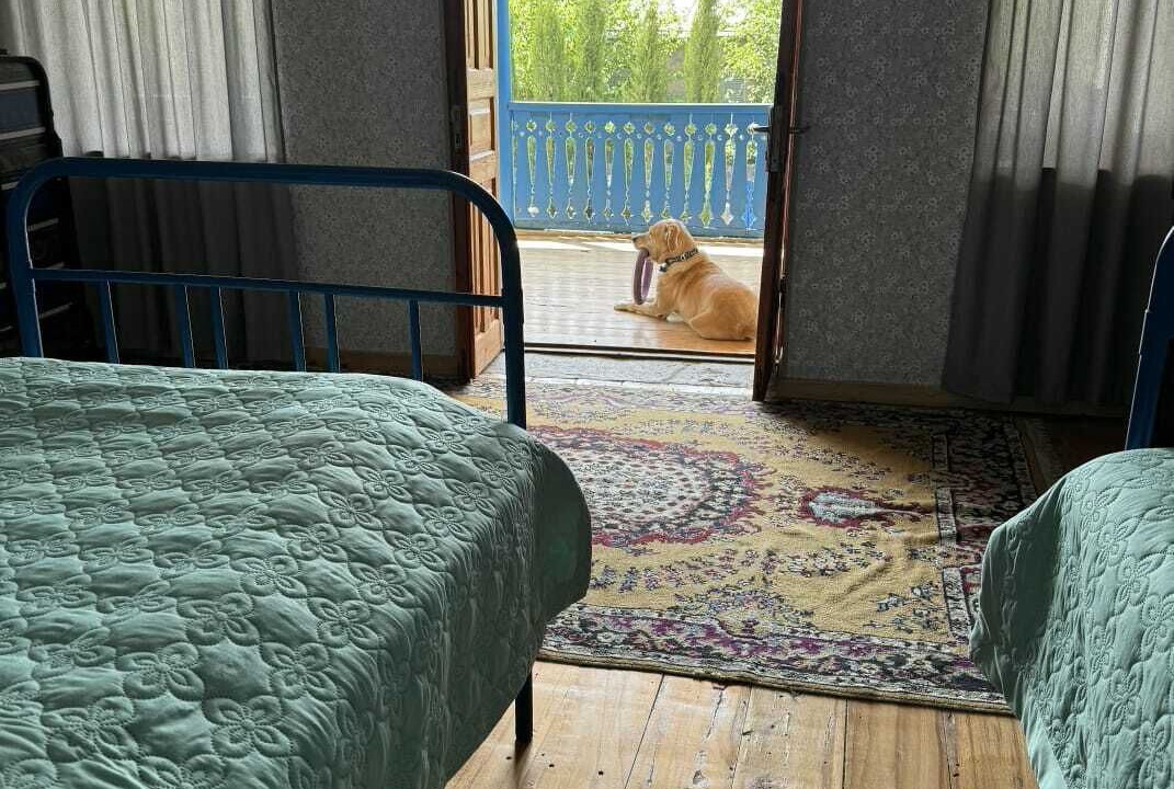 Photo of Bedroom in Akhmeta
