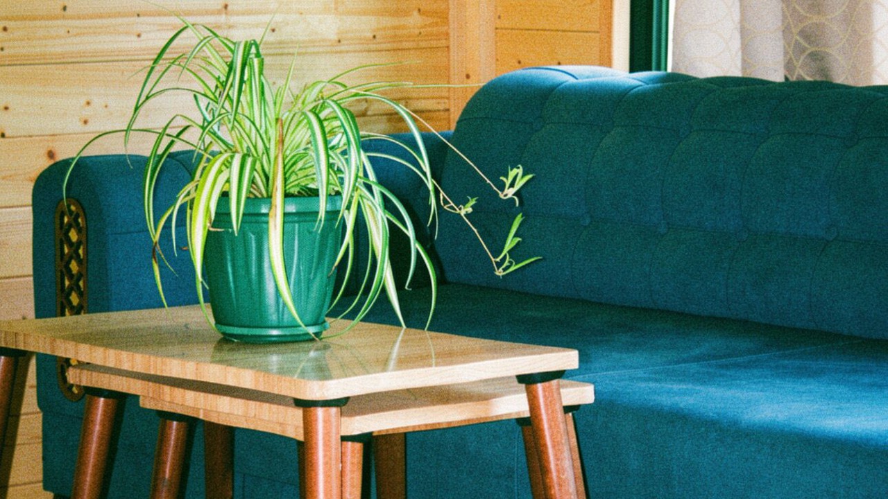 Photo of Livingroom in Tsikhisdziri